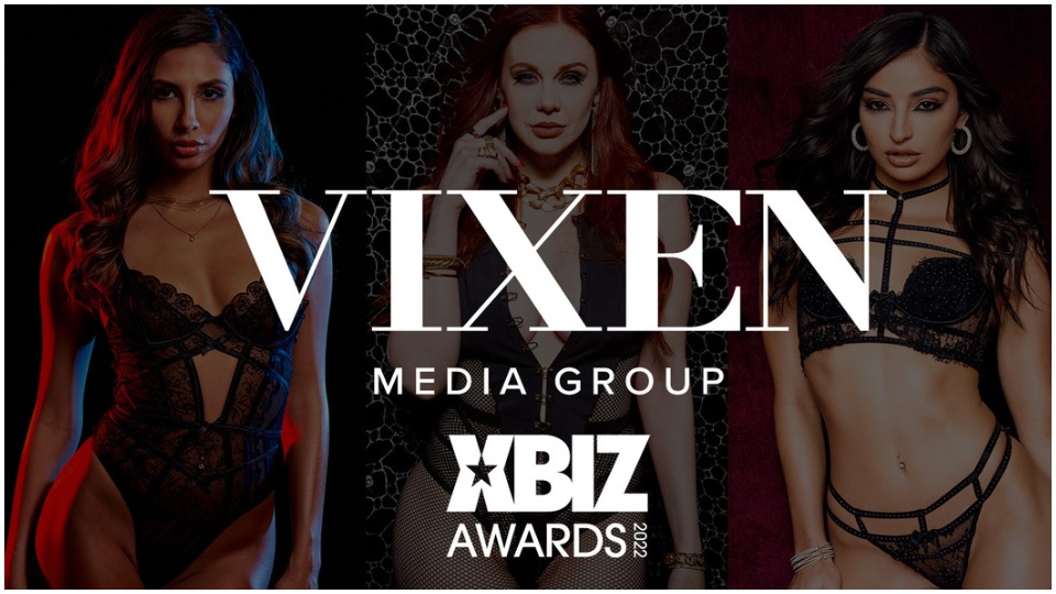 Vixen Media Group