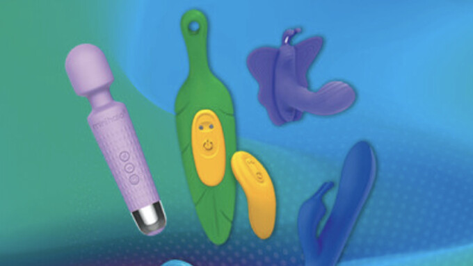 Two Texas Bills Restricting Sex Toy Sales Fail to Pass